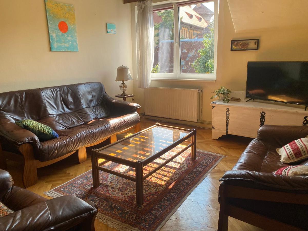 Rose'S Oldtown Apartment Brasov Ngoại thất bức ảnh