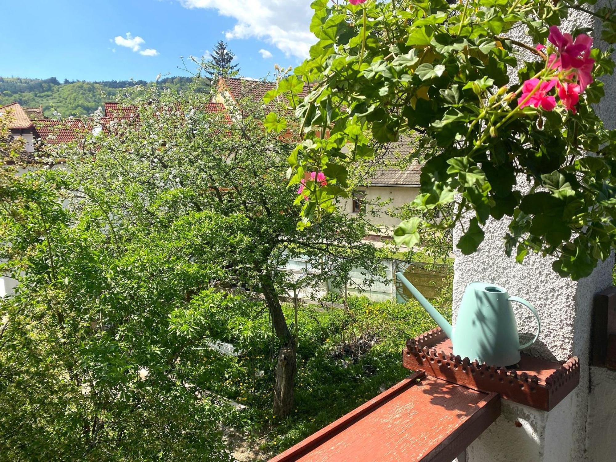 Rose'S Oldtown Apartment Brasov Ngoại thất bức ảnh