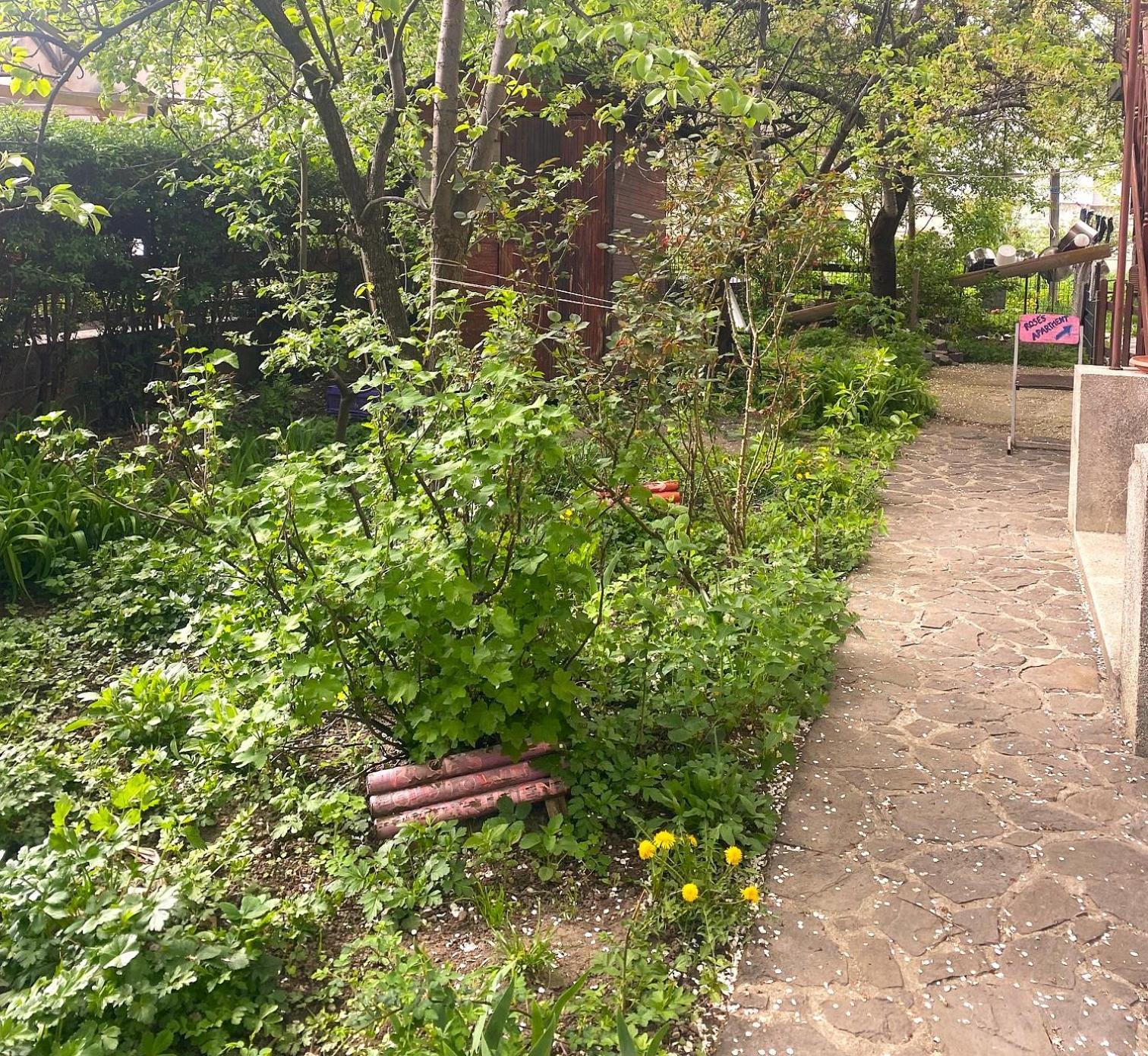Rose'S Oldtown Apartment Brasov Ngoại thất bức ảnh