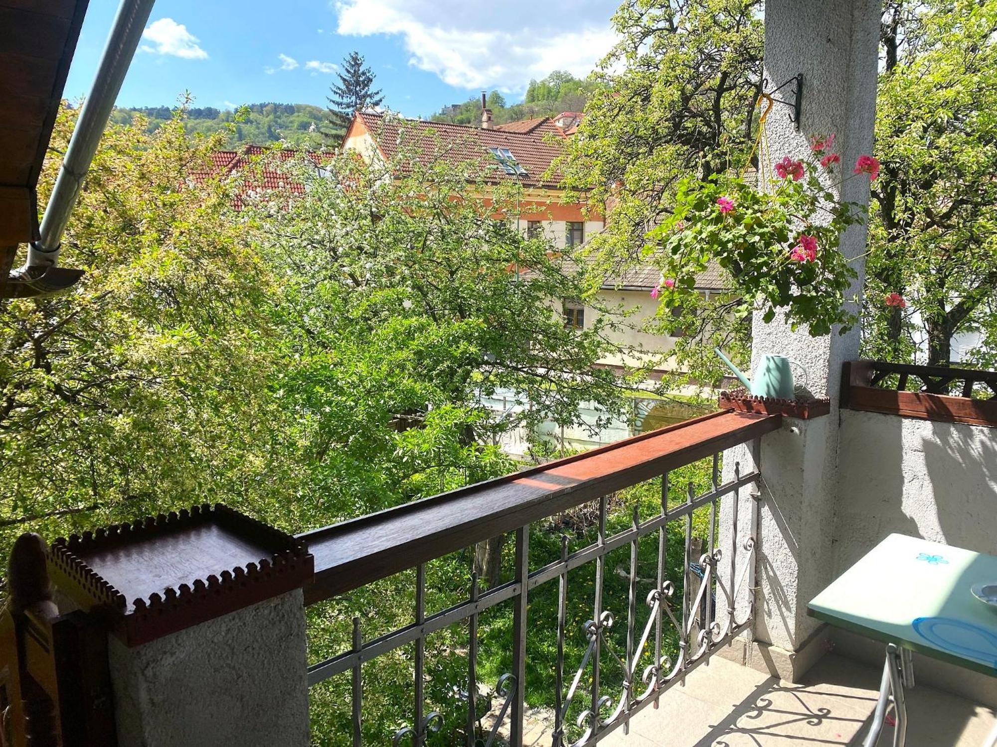 Rose'S Oldtown Apartment Brasov Ngoại thất bức ảnh