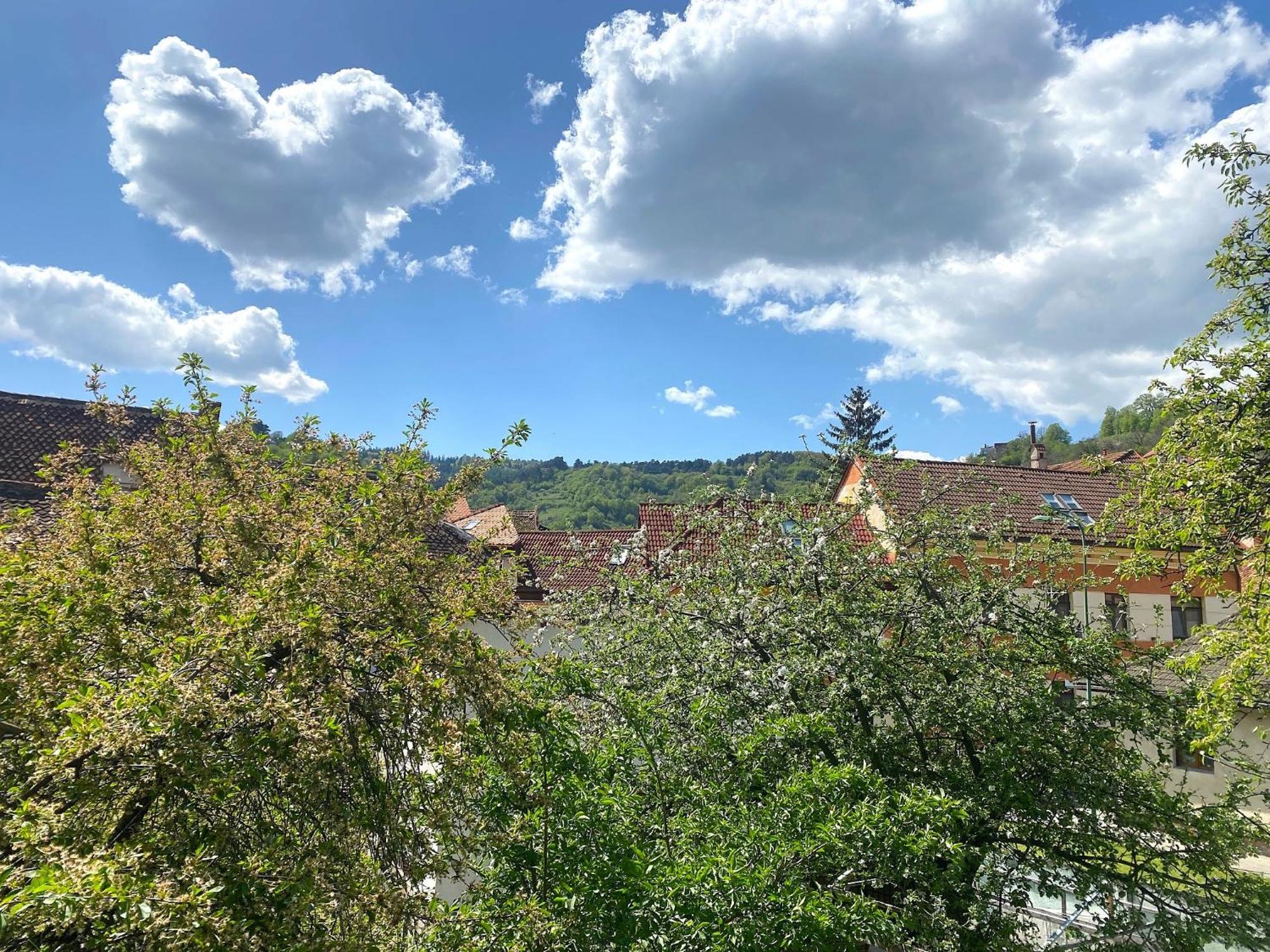 Rose'S Oldtown Apartment Brasov Ngoại thất bức ảnh