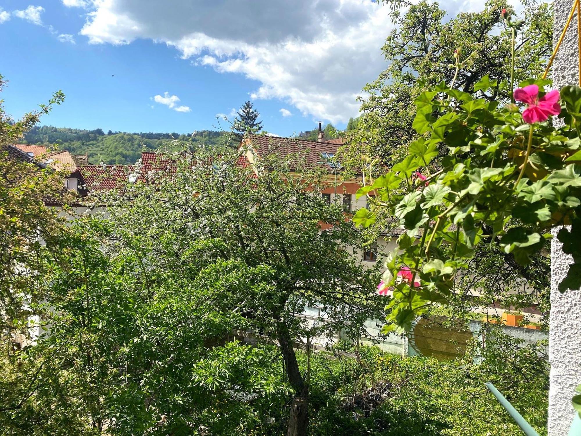 Rose'S Oldtown Apartment Brasov Ngoại thất bức ảnh